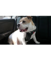 Sleepypod Clickit Sport Bundle Edition - Safest Dog Travel Harness (Extra Large, Charcoal Grey)