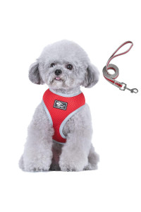 Puppy Harness And Leash Set - Dog Vest Harness For Small Dogs Medium Dogs- Adjustable Reflective Step In Harness For Dogs - Soft Mesh Comfort Fit No Pull No Choke (M, Red)