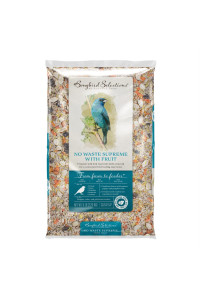 Audubon Park Songbird Selections Chickadee and Nuthatch Bird Seed Sunflower Hearts 5 lb.