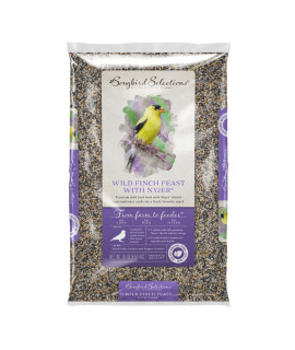 global Harvest Foods Audubon Park Songbird Selections Finches Wild Bird Food Nyjer Seed 10 lb.