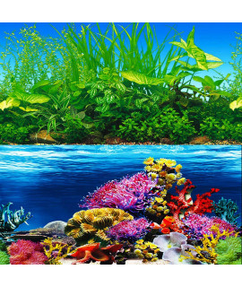 ELEBOX New 20 x 48 Fish Tank Background Paper Wallpaper 2 Sided Colorful Seaweed Water Plants Aquarium Background Picture