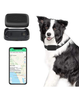 GPS Pet Tracker, Real-Time Cat Dog Locater & Activity Monitor, Cat Dog Tracking Device with Unlimited Range
