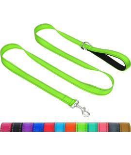 Taglory Reflective Heavy Duty Dog Leash 1 in x 4 ft, Neoprene Padded Handle and Metal Hook Pet Training Leashes for Small Medium Large Dogs, Neon green