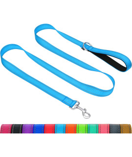 Taglory Reflective Heavy Duty Dog Leash 3/4 in x 4 ft, Neoprene Padded Handle and Metal Hook Pet Training Leashes for Small Medium Large Dogs, Sky Blue