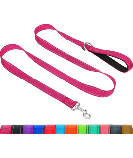 Taglory Reflective Heavy Duty Dog Leash 1 in x 4 ft, Neoprene Padded Handle and Metal Hook Pet Training Leashes for Small Medium Large Dogs, Hot Pink