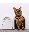 Interior Cat Door - No-Flap Cat Door For Interior Door Cat Door Interior Door For Cats Up To 20 Lbs Easy Diy Setup Secured Installation In Minutes No Training Neededa