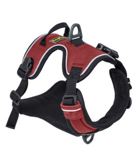 OllyDog Alpine Dog Harness, No Pull Dog Harness with 2 Leash Clips, Soft Padded and Reflective with Handle, Dog Accessories, Comfort for Everyday Walks and Adventure (Small, Vino)