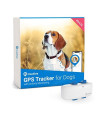 Tractive Waterproof Gps Dog Tracker - Location & Activity, Unlimited Range & Works With Any Collar (White)
