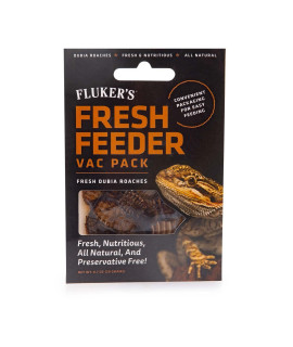 Flukers Fresh Feeder Vac Pack Dubia Roaches - great for Insect-Eating Reptiles Birds or Small Animals 0.7oz