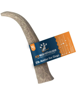 K9warehouse Dog Elk Antlers for Aggressive chewers, Extra Large Whole Antler Dog chews, Odor-Free, Long Lasting Shed Antlers for Small, Medium and Large Dogs, 7A-11A Size, 70 to 100 lbs