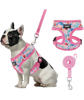 Pupteck Soft Mesh Dog Harness Pet Puppy Comfort Padded Vest No Pull Harnesses (Small, Pink Floral)
