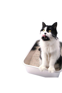 Midlee Stainless Steel Cat Litter Box- XL Size- 23.5" x 15.5" x 5.75"