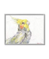 Stupell Industries Cockatiel Bird Portrait Tropical Yellow Pet, Design by George Dyachenko Grey Framed Wall Art, 16 x 20, White