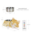 Exhart Cat Food/Water Bowl, Hand Painted, Stainless Steel Bowl, Durable Resin D