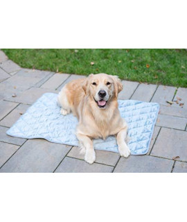 BoxDog Velvet Dog Blanket (Ice Blue) | Beautiful Blue Dog Mat | Soft Dog Blanket