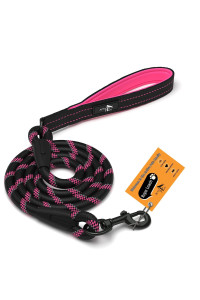 Active Pets Strong Dog Rope Leash With Soft Comfortable Padded Handle And Highly Reflective Threads, Dog Leash For Small Medium And Large Dogs, Puppy Leash For Training Running And Walking