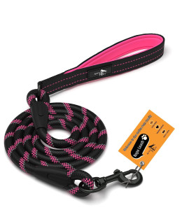 Active Pets Strong Dog Rope Leash With Soft Comfortable Padded Handle And Highly Reflective Threads, Dog Leash For Small Medium And Large Dogs, Puppy Leash For Training Running And Walking