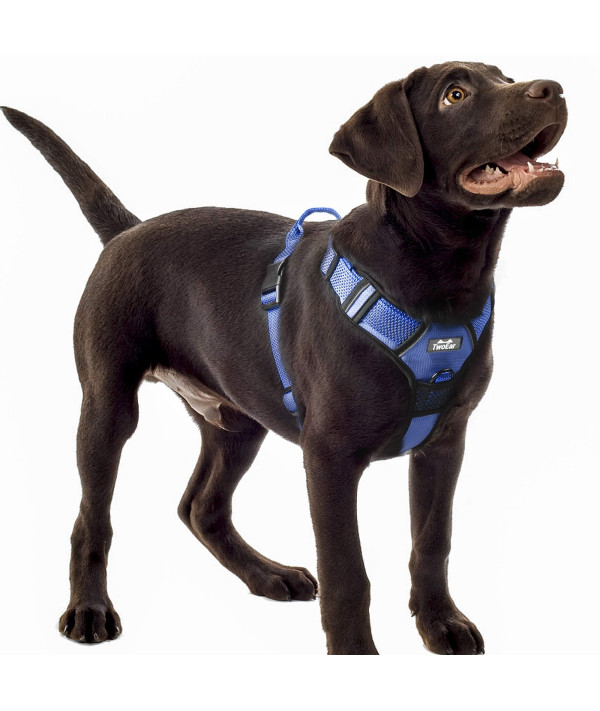 Buy TwoEar Dog Harness, No Pull Reflective Harness Front Clip Easy Control  Handle Adjustable Soft Padded Pet Vest for Puppy Small Medium Large Dogs  Breed Pet(Large,Blue) Online at Low Prices in USA