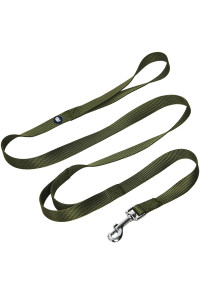 Blueberry Pet Essentials Durable Classic Dog Leash 4 Ft X 1, Military Green, Large, Double Handle Leashes For Dogs