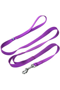 Blueberry Pet Essentials Durable Classic Dog Leash 5 Ft X 58, Dark Orchid, Small, Double Handle Leashes For Dogs