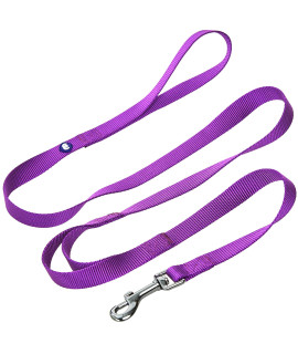 Blueberry Pet Essentials Durable Classic Dog Leash 5 Ft X 58, Dark Orchid, Small, Double Handle Leashes For Dogs