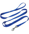 Blueberry Pet Essentials Durable Classic Dog Leash 5 Ft X 58, Royal Blue, Small, Double Handle Leashes For Dogs