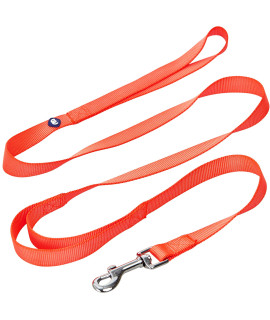 Blueberry Pet Essentials Durable Classic Dog Leash 5 Ft X 58, Florence Orange, Small, Double Handle Leashes For Dogs