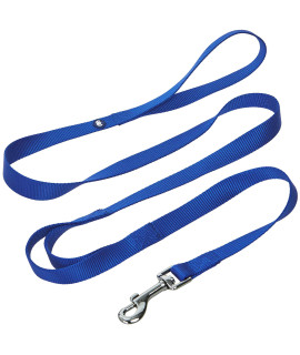 Blueberry Pet Essentials Durable Classic Dog Leash 4 Ft X 1, Royal Blue, Large, Double Handle Leashes For Dogs