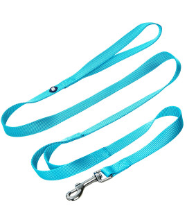 Blueberry Pet Essentials Durable Classic Dog Leash 5 Ft X 38, Turquoise, X-Small, Double Handle Leashes For Puppies