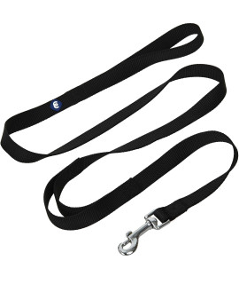 Blueberry Pet Essentials Durable Classic Dog Leash 5 Ft X 38, Black, X-Small, Double Handle Leashes For Puppies