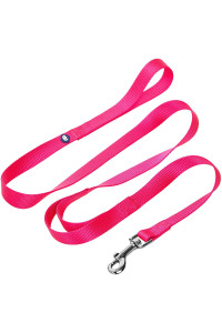 Blueberry Pet Essentials Durable Classic Dog Leash 5 Ft X 38, French Pink, X-Small, Double Handle Leashes For Puppies