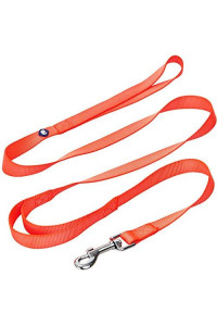 Blueberry Pet Essentials Durable Classic Dog Leash 4 Ft X 1, Florence Orange, Large, Double Handle Leashes For Dogs