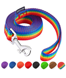 AMAGOOD 6 FT Puppy/Dog Leash, Strong and Durable Traditional Style Leash with Easy to Use Collar Hook,Dog Lead Great for Small and Medium and Large Dog (3/4 in x 6 ft(Pack of 1), Rainbow)