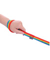 AmaGood Dog/Puppy Obedience Recall Training Agility Lead-15 ft 20 ft 30 ft 50 ft Long Leash-for Dog Training,Recall,Play,Safety,Camping (50feet, Rainbow)