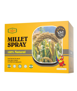 Amzey 55 LB Spray Millet for Parakeets, 100 Natural Dried Millet grain for Birds, Non-gMO Millet Spray Bird Treat, Birds Millet, cockatiel, Finches, Parrots Lovebirds
