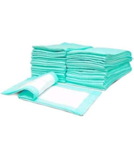 VacuuMParts 30x30 Pet Dog Puppy Disposable Incontinence Training Pads Underpad Moderate