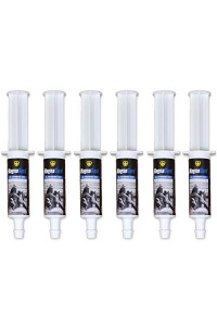MagnaGard Pre-Performance Calming Paste for Horses - All Natural Gastric Support by Eagle Equine (6 Pack)