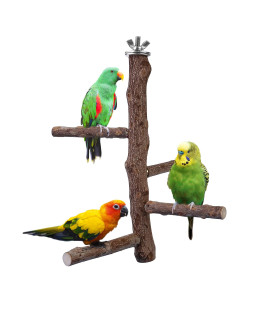 Filhome Bird Perch Stand Toy, Natural Wood Parrot Perch Bird cage Branch Perch Accessories for Parakeets cockatiels conures Macaws Finches Love Birds (M: 10 Length)