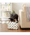 Bone Dry Pet Storage Collection Paw and Bone Print, Black, Small Rectangle
