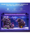 AQQA Aquarium Lights,Fish Tank LED Light with Extendable Brackets,Waterproof Full Spectrum Blue Red White LEDs with External Timer Controller for Freshwater Planted 22W (24"-32")