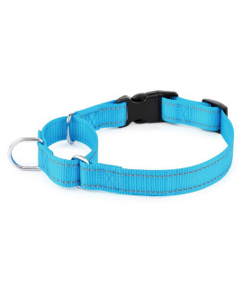 PLUTUS PET Reflective Martingale Collar with Quick Snap Buckle,No Pull Dog Choker Collar for Small Medium Large Dogs,S,Blue
