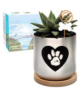 Capti Dog Memorial Gifts Plant Pot - Paw Print On My Heart Planter, Pet Loss Gifts - Rainbow Bridge Poem & Stake, Remembrance, Bereavement, Keepsake, Sympathy Loss of Dog Gifts