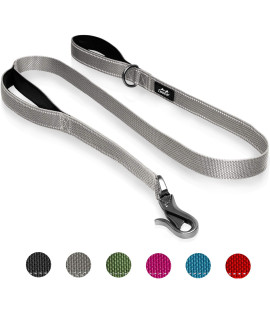 Twoear 5Ft 1In Strong Gray Dog Leash With 2 Padded Handles, Traffic Handle Extra Control, Comfortable Soft Dual Handle, Auto Lock Hook, Reflective Walking Lead For Small Medium And Large Dogs