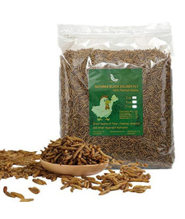 Black Soldier Fly Larvae Superior to Dried Mealworms for Chickens - Non-GMO - Treats for Birds Chickens Hedgehog Hamster Fish Reptile Turtles (11LB)