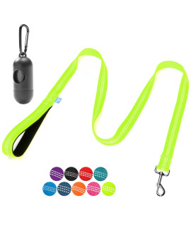 Baapet 5 Feet Nylon Dog Leash With Triple Reflective Threads And Comfortable Padded Handle For Walking, Training Lead Small Puppy, Medium And Large Dogs (10 X 5 Ft, Green)