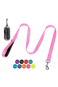 Baapet 5 Feet Nylon Dog Leash With Triple Reflective Threads And Comfortable Padded Handle For Walking, Training Lead Small Puppy, Medium And Large Dogs (34 X 5 Ft, Pink)