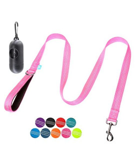 Baapet 5 Feet Nylon Dog Leash With Triple Reflective Threads And Comfortable Padded Handle For Walking, Training Lead Small Puppy, Medium And Large Dogs (34 X 5 Ft, Pink)