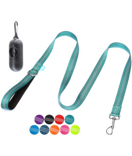 Baapet 5 Feet Nylon Dog Leash With Triple Reflective Threads And Comfortable Padded Handle For Walking, Training Lead Small Puppy, Medium And Large Dogs (34 X 5 Ft, Teal)