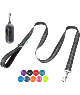 Baapet 5 Feet Nylon Dog Leash With Triple Reflective Threads And Comfortable Padded Handle For Walking, Training Lead Small Puppy, Medium And Large Dogs (10 X 5 Ft, Black)