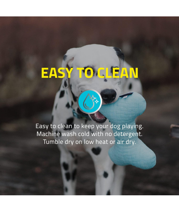 Buy Playology Plush Squeaky Dog Toy for Moderate Chewers - Medium Squeaky  Bone - Peanut Butter Scented Dog Toy, Engaging, All-Natural, and  Interactive Non-Toxic Chew Toys Online at Low Prices in USA 